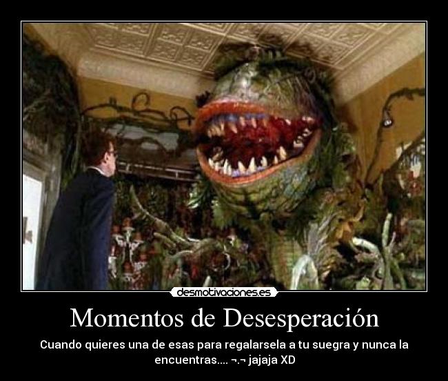 Momentos de Desesperación -