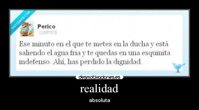 realidad - absoluta