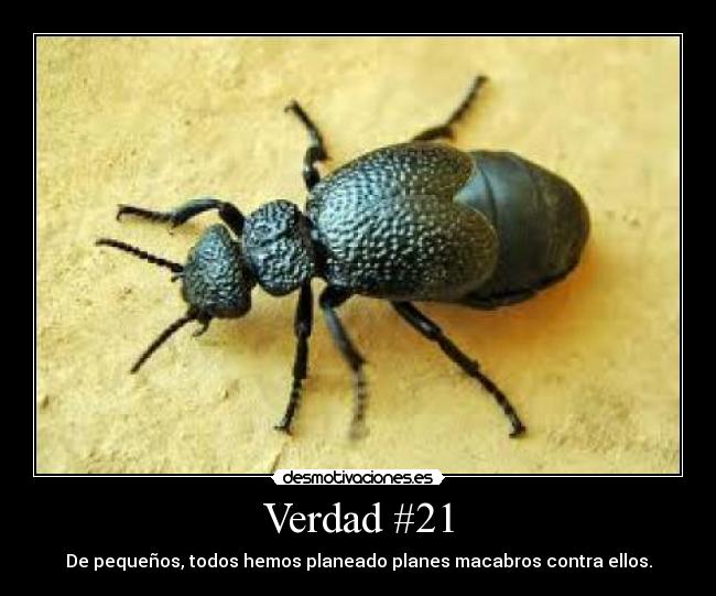 Verdad #21 - De pequeños, todos hemos planeado planes macabros contra ellos.