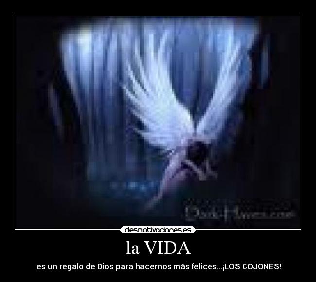 la VIDA - 