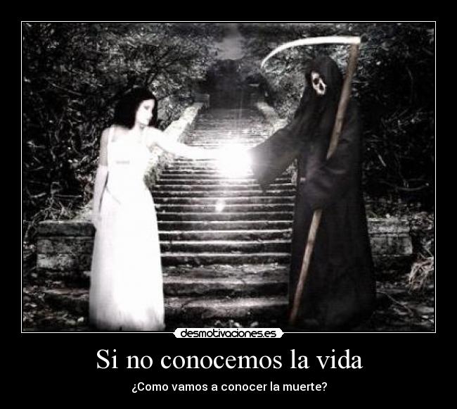 Si no conocemos la vida - ¿Como vamos a conocer la muerte?