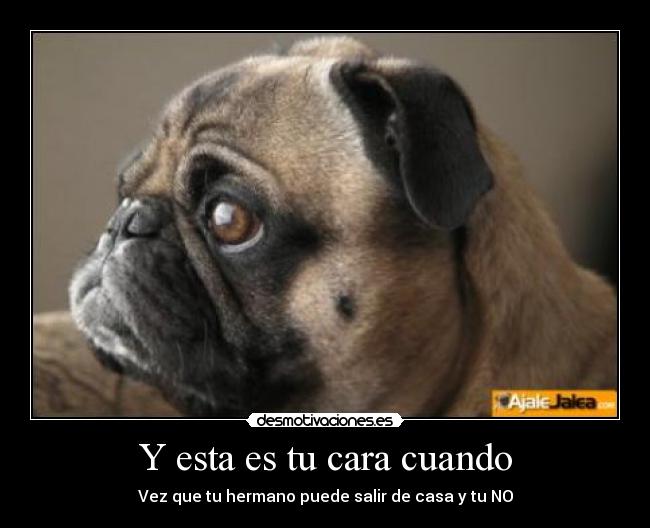 Y esta es tu cara cuando - Vez que tu hermano puede salir de casa y tu NO