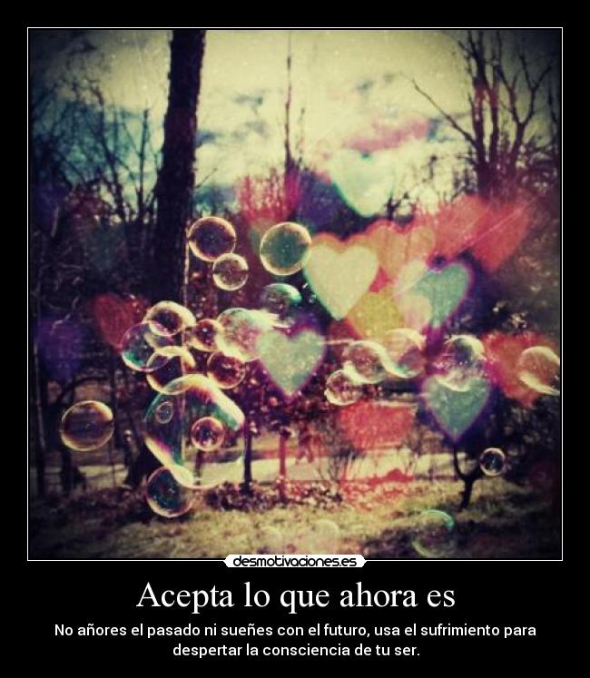 Acepta lo que ahora es -