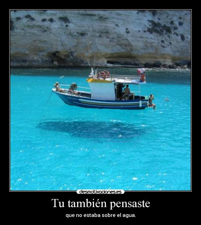 Tu también pensaste - que no estaba sobre el agua.