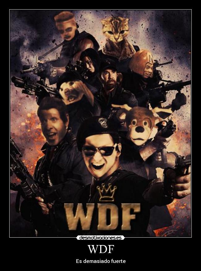 carteles wilber tapia desmotivaciones