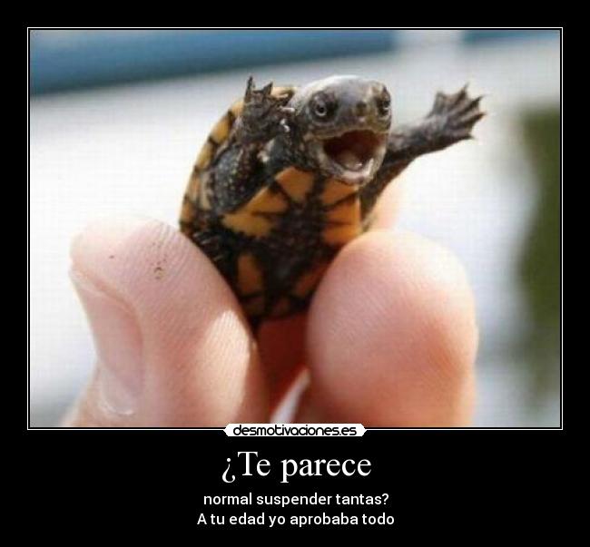 ¿Te parece - normal suspender tantas?
A tu edad yo aprobaba todo