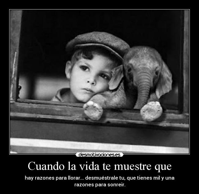 carteles vida nievesitas porque tequiero desmotivaciones