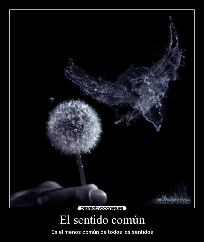 El sentido común - Es el menos común de todos los sentidos