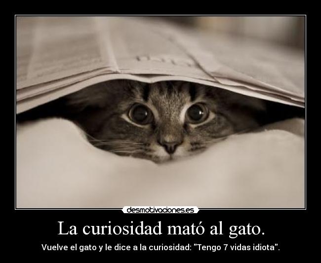 La curiosidad mató al gato. -