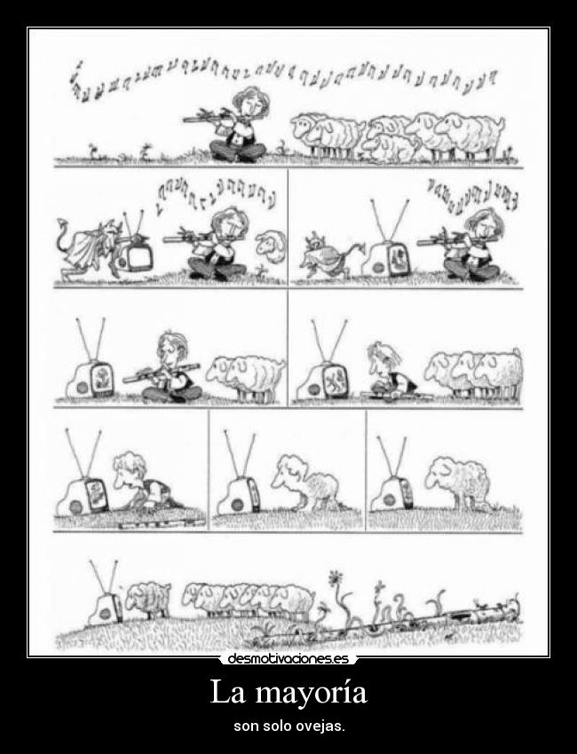 La mayoría - son solo ovejas.