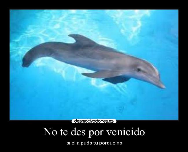 carteles winter defin desmotivaciones