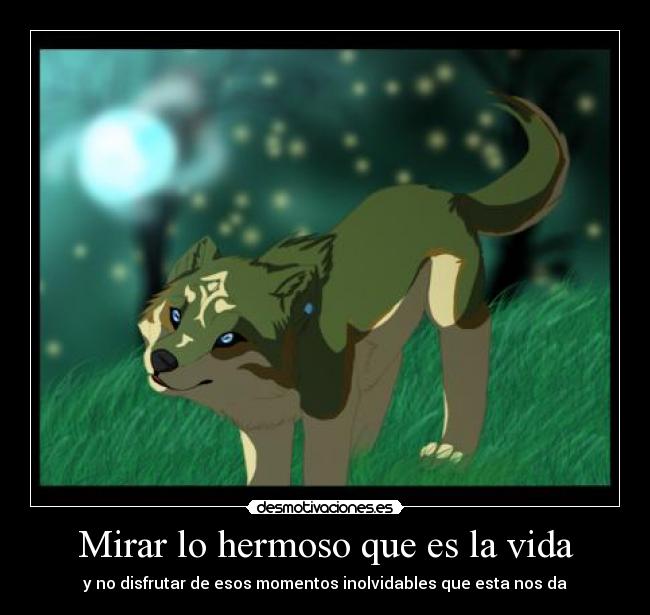Mirar lo hermoso que es la vida -