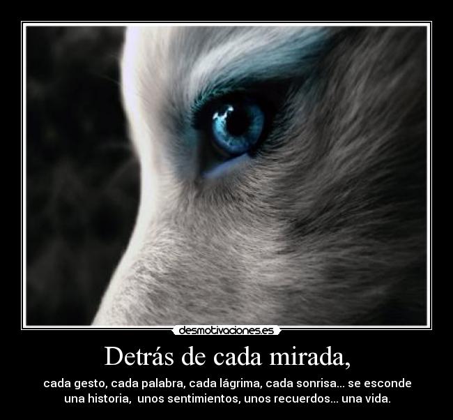 Detrás de cada mirada, - cada gesto, cada palabra, cada lágrima, cada sonrisa... se esconde
una historia, unos sentimientos, unos recuerdos... una vida.