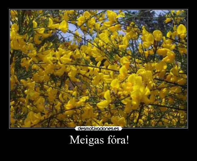 Meigas fóra! - 