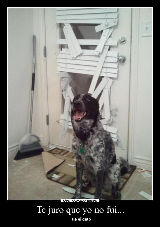 Te juro que yo no fui... -