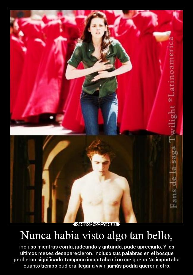 Nunca habia visto algo tan bello, -