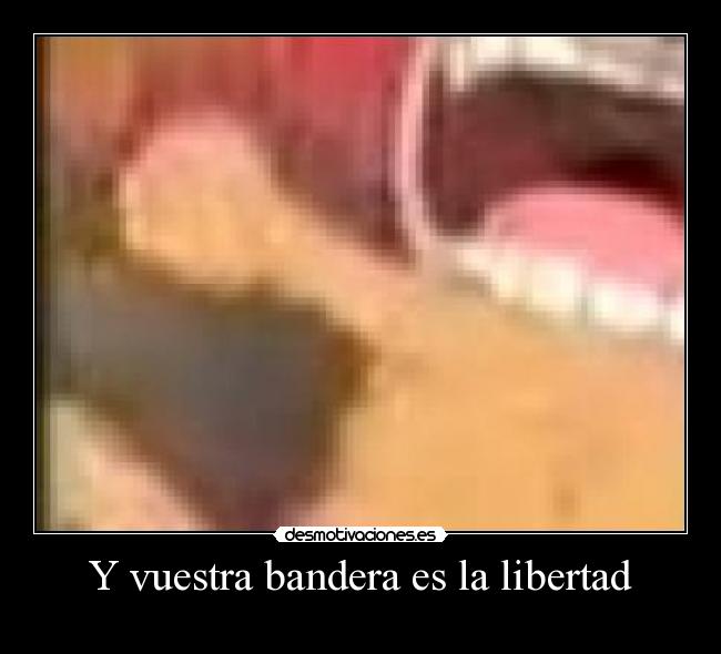 Y vuestra bandera es la libertad - 