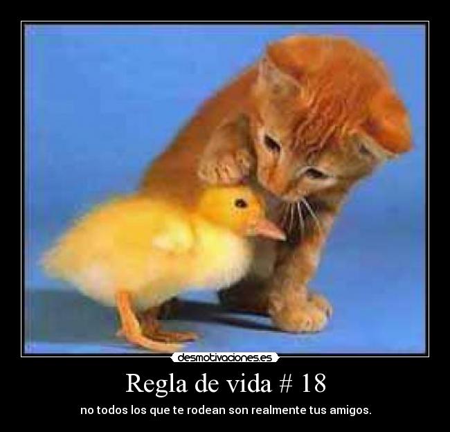 Regla de vida # 18 - no todos los que te rodean son realmente tus amigos.