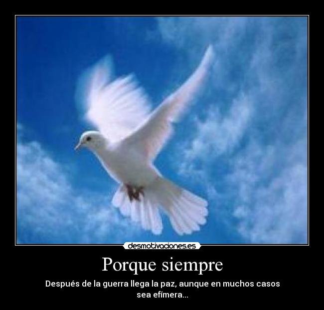 Porque siempre - Después de la guerra llega la paz, aunque en muchos casos
sea efímera...