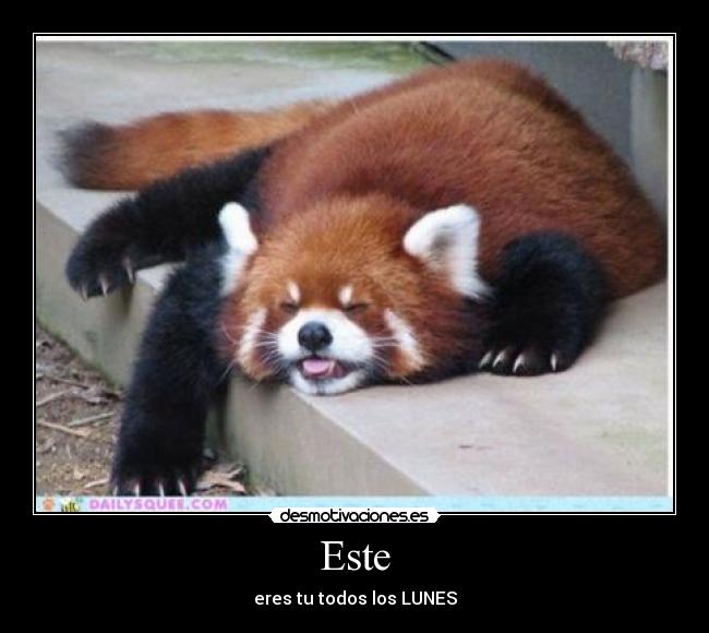 Este - eres tu todos los LUNES