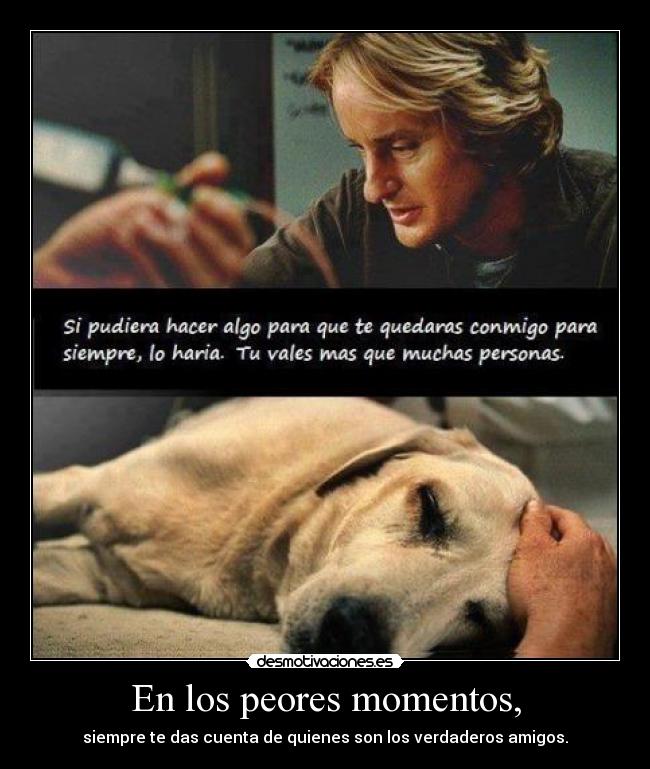 En los peores momentos, - siempre te das cuenta de quienes son los verdaderos amigos.