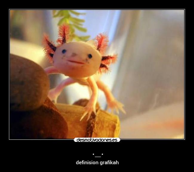 ._. - definision grafikah