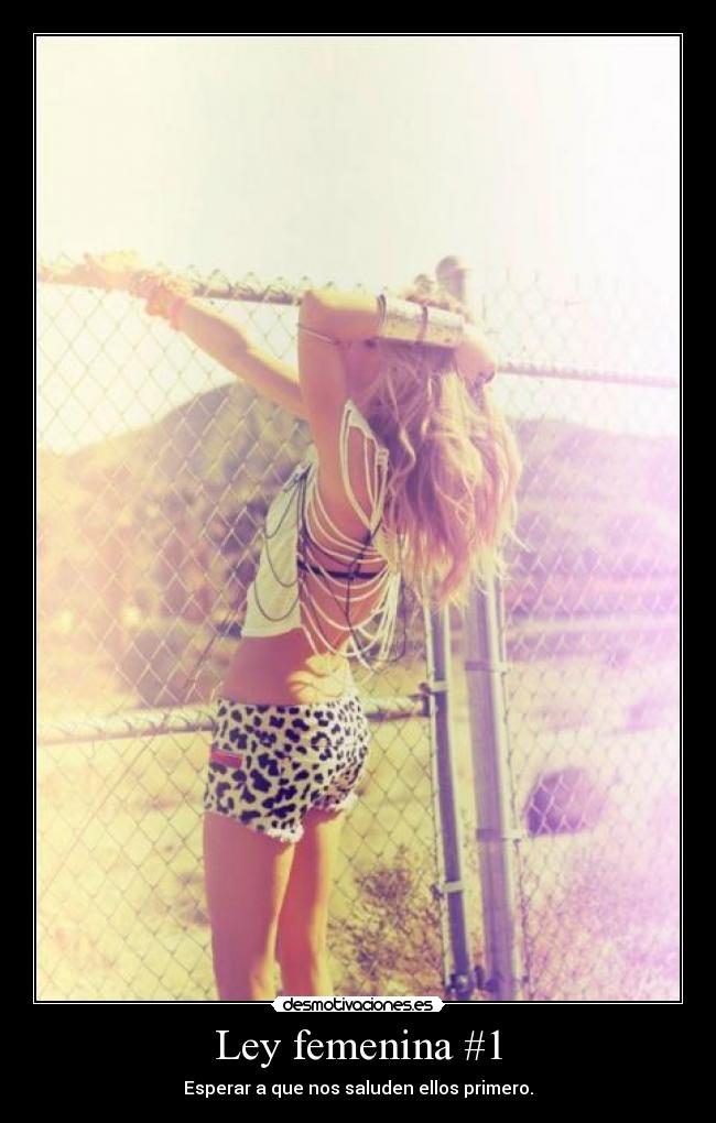 Ley femenina #1 -