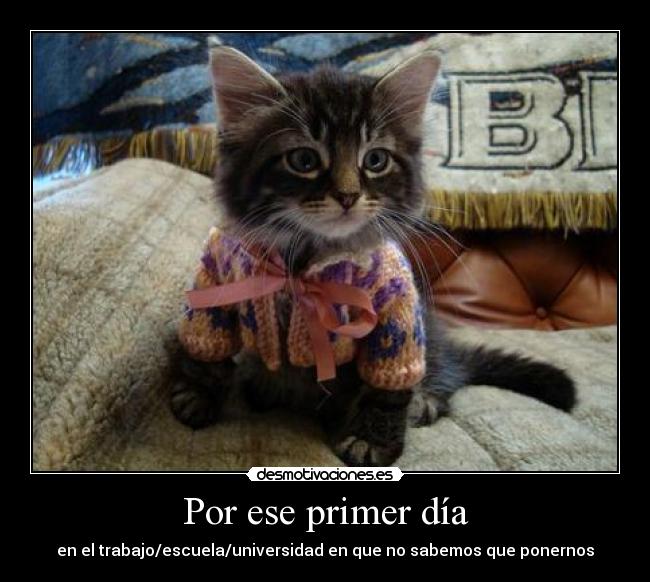 carteles dia empleo primer gatosuniforme desmotivaciones