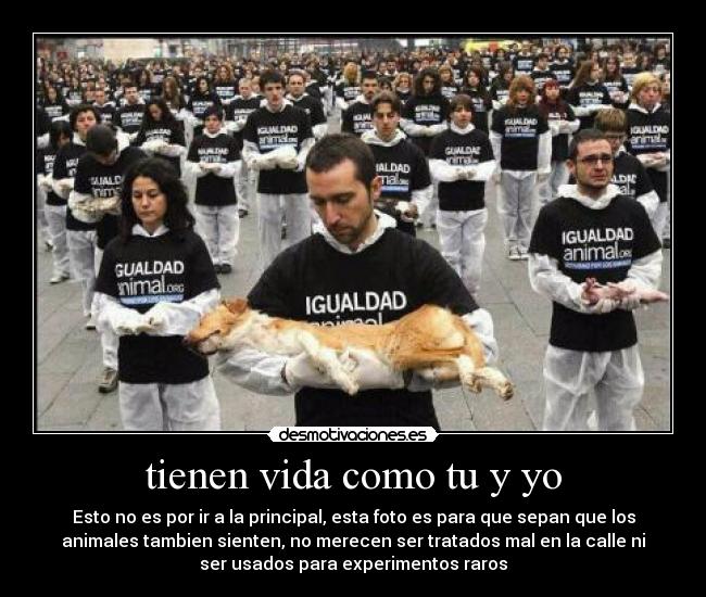 carteles vida verdad desmotivaciones