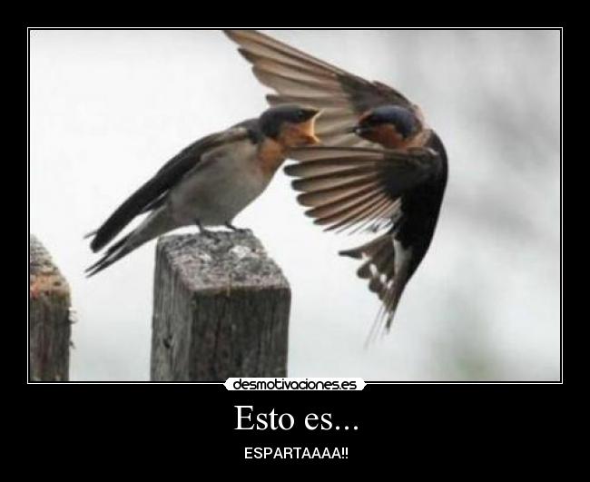 Esto es... - ESPARTAAAA!!