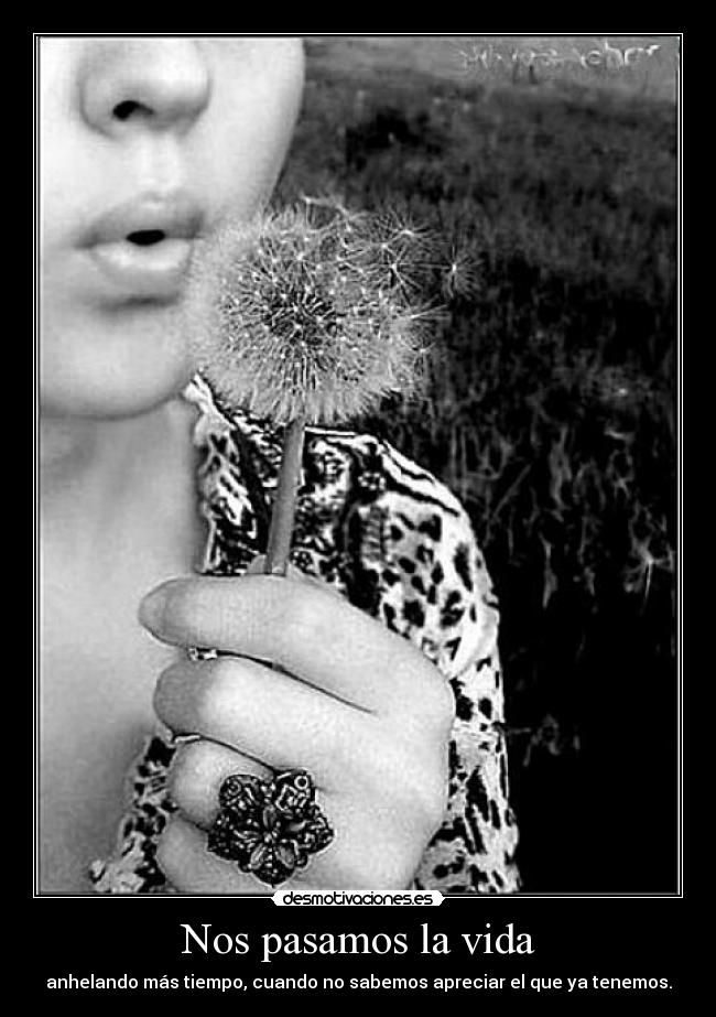Nos pasamos la vida - anhelando más tiempo, cuando no sabemos apreciar el que ya tenemos.