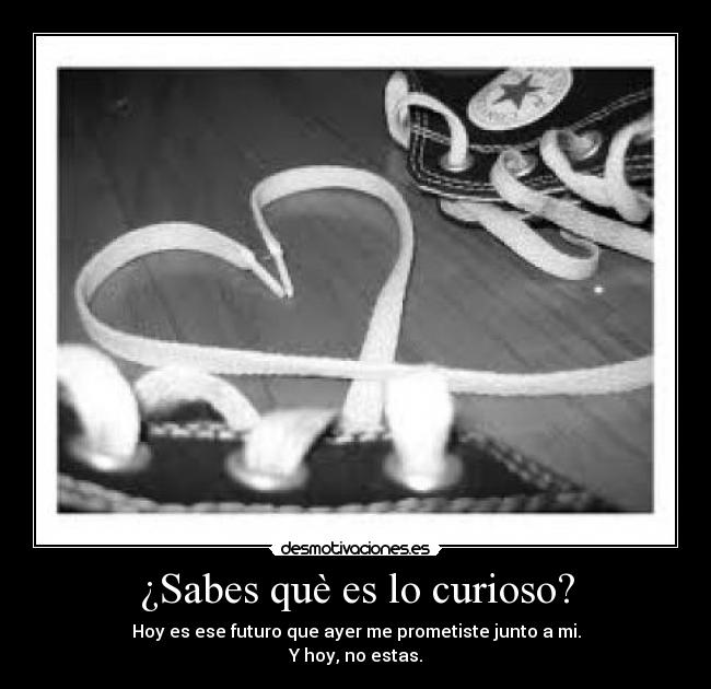 ¿Sabes què es lo curioso? - Hoy es ese futuro que ayer me prometiste junto a mi.
Y hoy, no estas.