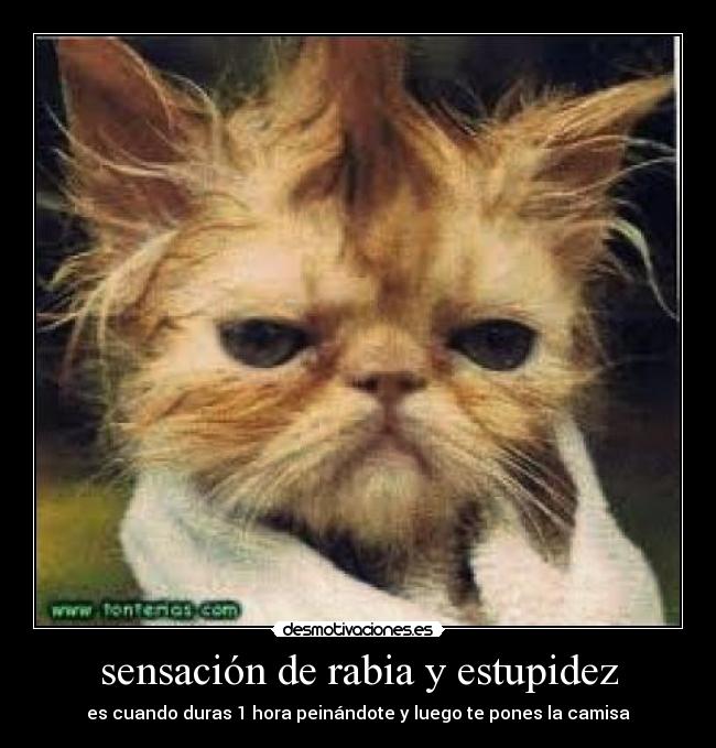 sensación de rabia y estupidez - es cuando duras 1 hora peinándote y luego te pones la camisa