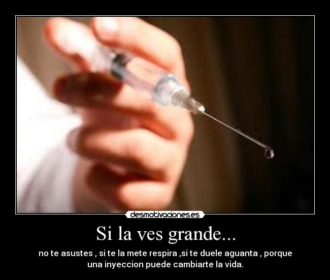 Si la ves grande... - 