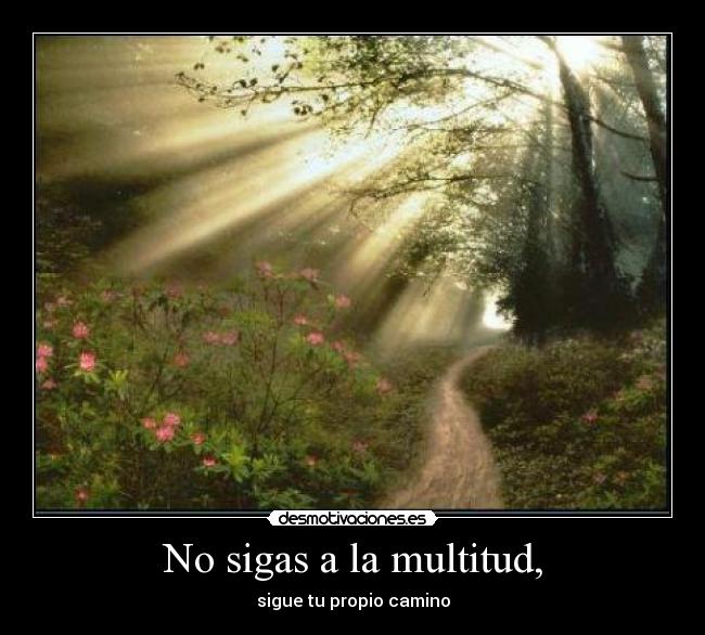 No sigas a la multitud, - sigue tu propio camino