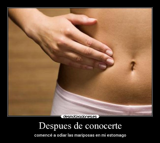 Despues de conocerte - comencé a odiar las mariposas en mi estomago