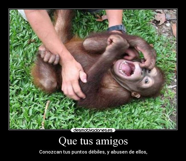 carteles amigos ellos abusen debiles puntos conozcan amigos tus que desmotivaciones