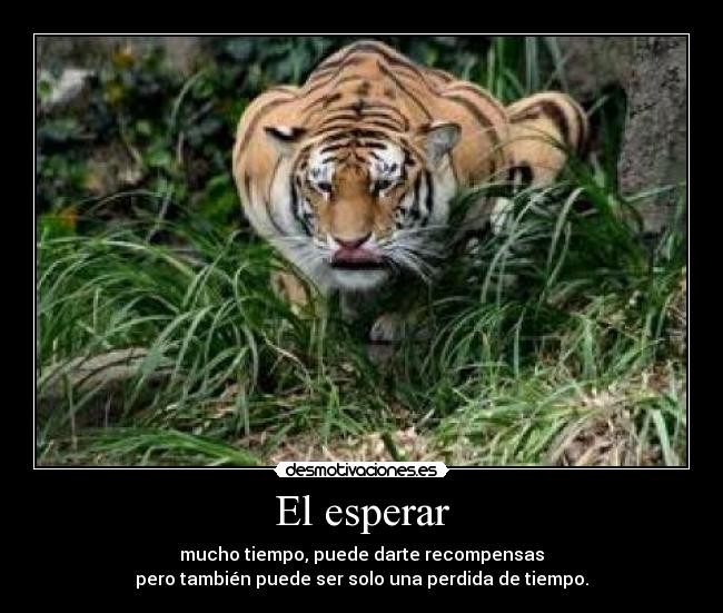 carteles frako desmotivaciones