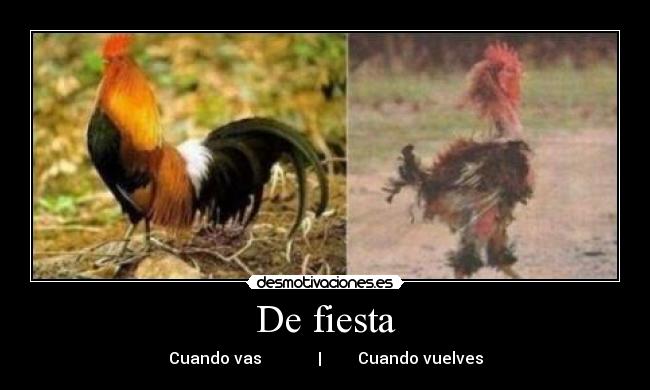 De fiesta - Cuando vas              |         Cuando vuelves