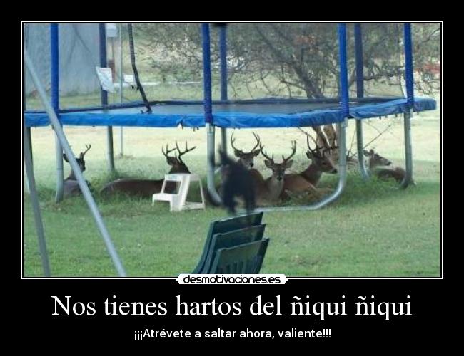 Nos tienes hartos del ñiqui ñiqui -