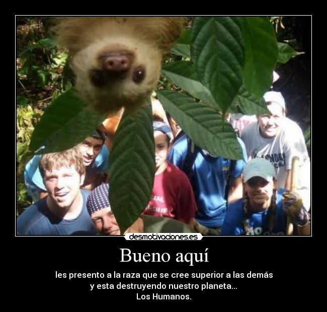 Bueno aquí - les presento a la raza que se cree superior a las demás
y esta destruyendo nuestro planeta...
Los Humanos.