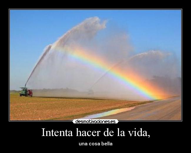 carteles vida cabeza princicola intruders desmotivaciones