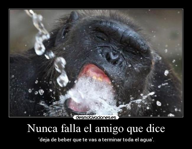 Nunca falla el amigo que dice - deja de beber que te vas a terminar toda el agua.