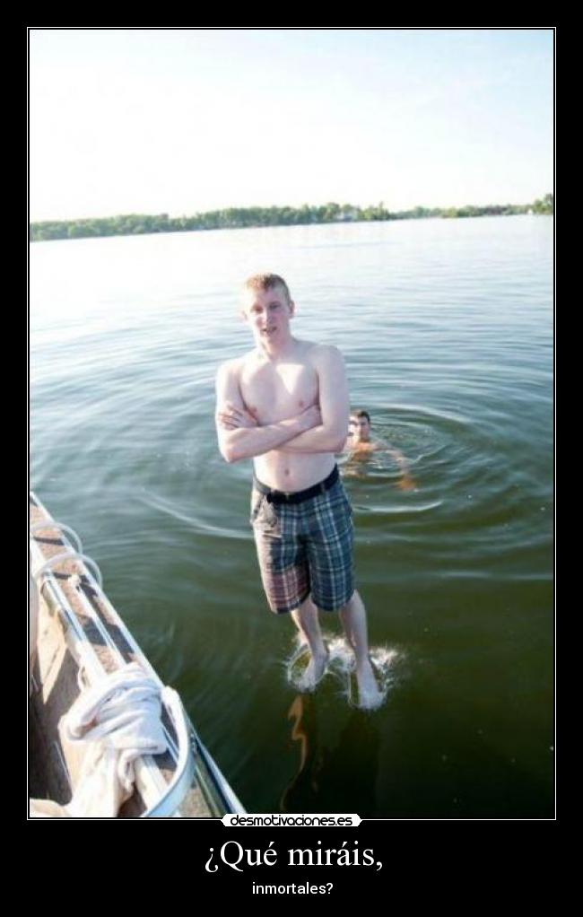 ¿Qué miráis, - inmortales?