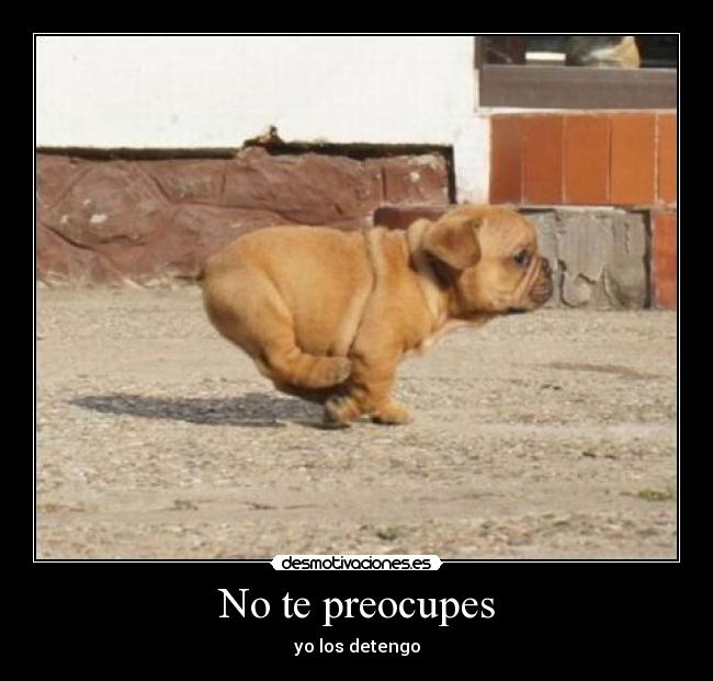 No te preocupes -