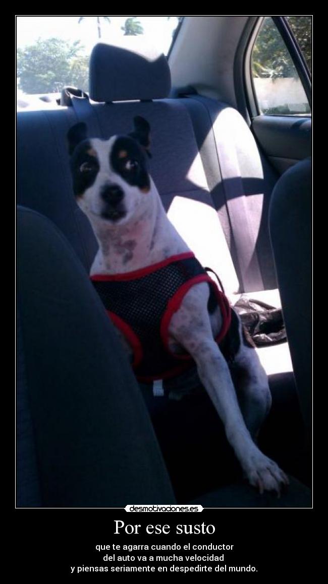 Por ese susto - que te agarra cuando el conductor
del auto va a mucha velocidad
y piensas seriamente en despedirte del mundo.