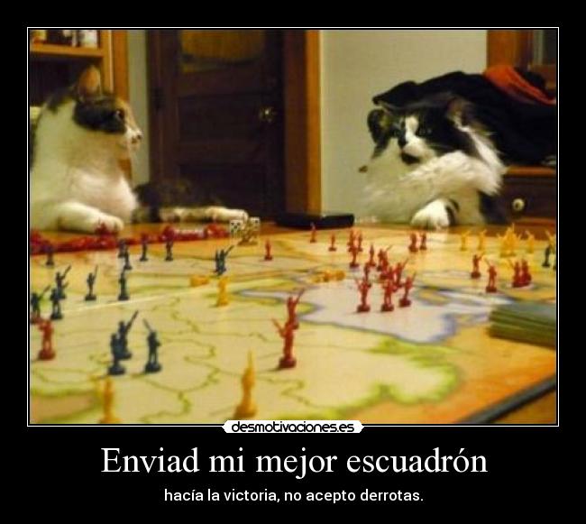 carteles muchas felicidades anyi desmotivaciones