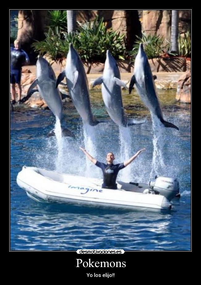 Pokemons - Yo los elijo!!