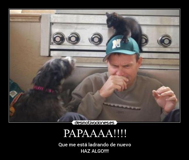 PAPAAAA!!!! - Que me está ladrando de nuevo
HAZ ALGO!!!!
