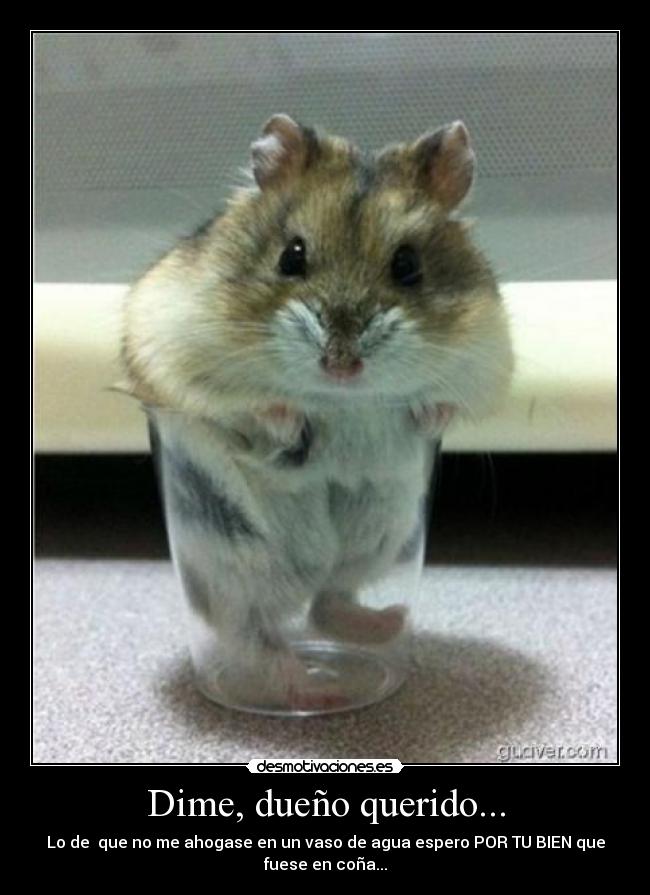 carteles hay que tomarse las cosas pie letra jasonic desmotivaciones